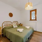 Italian Experience-il Pino San Venanzo