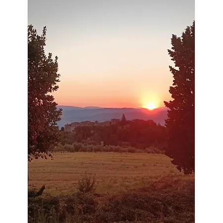 Italian Experience-il Pino Lejlighed San Venanzo