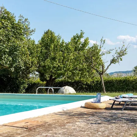 Italian Experience-il Pino